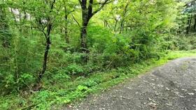 栃木県那須郡那須町大字湯本