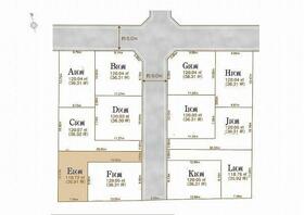 東京都国分寺市北町３丁目