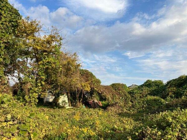 detached 茨城県東茨城郡城里町大字阿波山

地図を見る