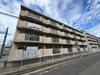 阪神打出浜マンション 4階 築39年4ヶ月の賃貸物件