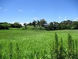 千葉県南房総市千倉町瀬戸