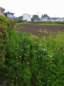 岩手県花巻市南諏訪町