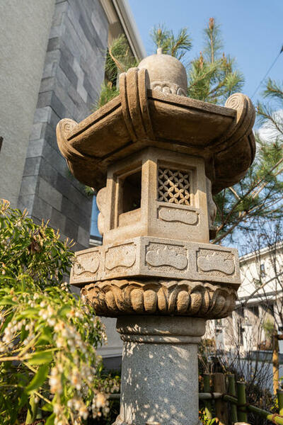 オルキデ蘆花公園 102｜東京都世田谷区八幡山３丁目(賃貸テラスハウス3LDK・--・66.05㎡)の写真 その10