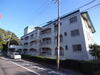 フドウ東芦屋ハイツ 5階 築52年1ヶ月の賃貸物件