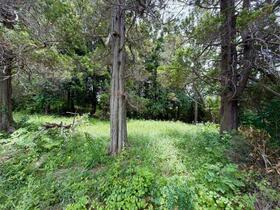 茨城県稲敷郡美浦村大字土屋
