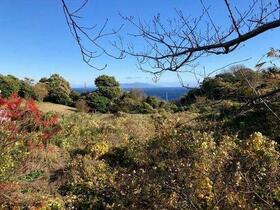 静岡県賀茂郡河津町見高