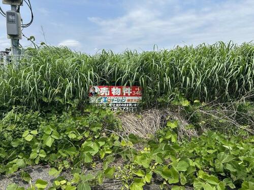 Land, Yokoshibahikari Town, Chiba