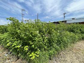 千葉県山武市松尾町下之郷