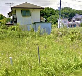 茨城県坂東市莚打