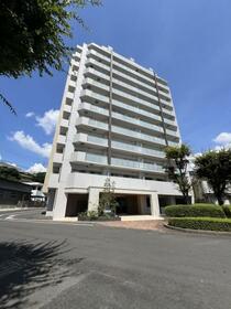 アルファステイツ高天