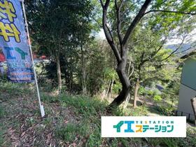 鹿児島県霧島市霧島大窪