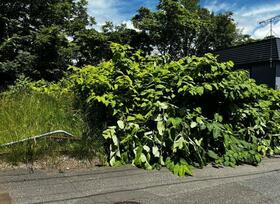 北海道札幌市南区藤野二条１１丁目