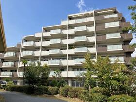 アーバンパレス老司テラス（ペット飼育可）