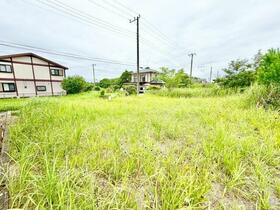 千葉県山武郡横芝光町宮川