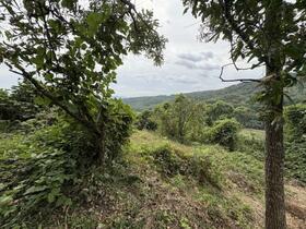 大分県別府市大字内成