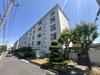 富田第二住宅７３号棟 5階 築54年5ヶ月の賃貸物件