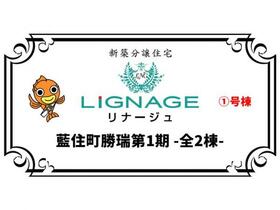 徳島県板野郡藍住町勝瑞字正喜地