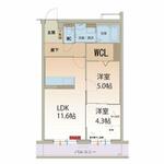 Ｍｒ　コルトレーンのイメージ