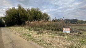 千葉県山武郡芝山町新井田新田