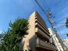 ドミール谷町 4階 築20年3ヶ月の賃貸物件