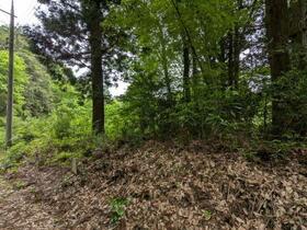 栃木県日光市矢野口