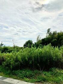 愛知県豊橋市大岩町字北山