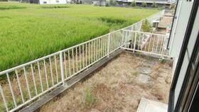 ディアス井端_その他_8