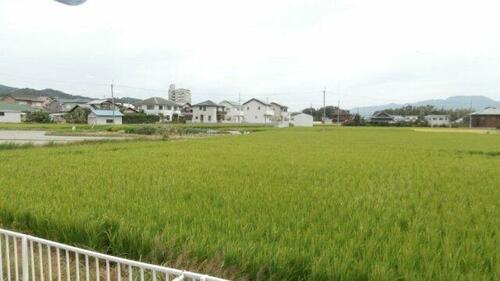 ディアス井端_その他_9