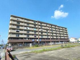 ヴィーゴ愛松大口