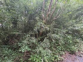 宮城県刈田郡蔵王町遠刈田温泉字新地東裏山