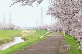 神奈川県平塚市中原３丁目