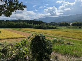 山口県山口市阿東徳佐中