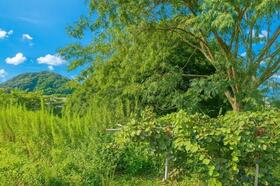 福岡県筑紫野市大字古賀