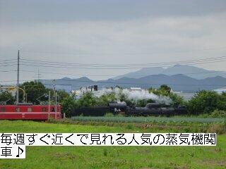 detached 埼玉県深谷市緑台
地図を見る