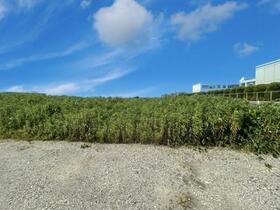 福岡県福岡市西区田尻１丁目