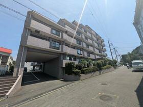 シーダム藤沢善行