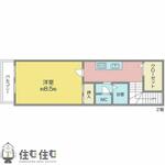 ドミール市木のイメージ