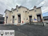 ドミール市木のイメージ