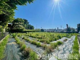 神奈川県茅ヶ崎市浜之郷