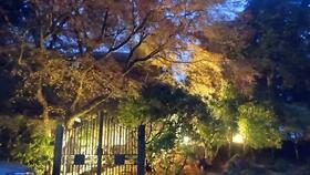 静岡県伊豆市冷川