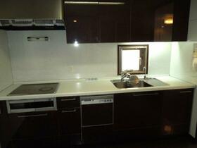 グランドメゾン苦楽園桜町_その他_9