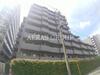 ルーブル大鳥居伍番館 4階 築11年11ヶ月の賃貸物件