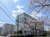 ひよどり台３団地２２号棟 1階 築51年3ヶ月の賃貸物件