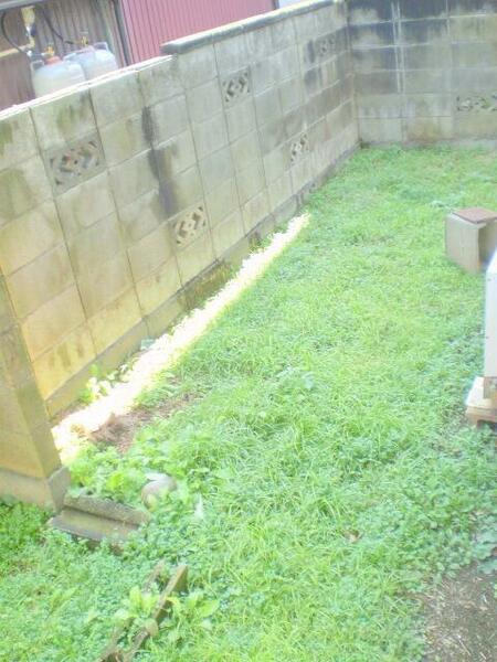 detached 埼玉県坂戸市泉町

地図を見る