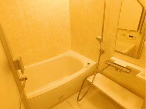 クリーンリバーフィネス美園ステーションフロント_その他_1