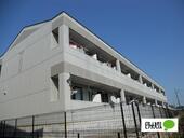 Ｃｏｍｏｄｏ　Ｍｉｈａｍａのイメージ