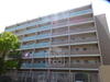 Elementary Place 7階 築13年10ヶ月の賃貸物件