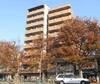 マジェスティ　 4階 築20年1ヶ月の賃貸物件