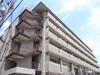 永和マンション 5階 築35年5ヶ月の賃貸物件