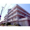 パレルミエール岡本 3階 築37年9ヶ月の賃貸物件